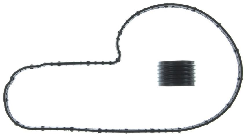 MAHLE GS33873 Engine Water Pump Gasket
