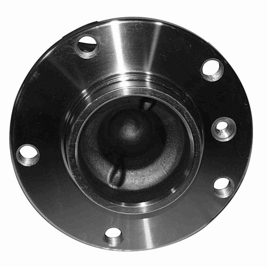 GSP 274172 BMW Wheel Bearing and Hub Assembly  - Front