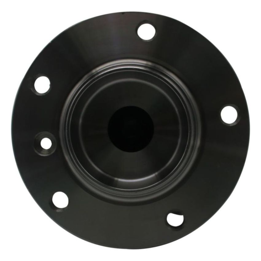 GSP 274210 BMW Wheel Bearing and Hub Assembly  - Front