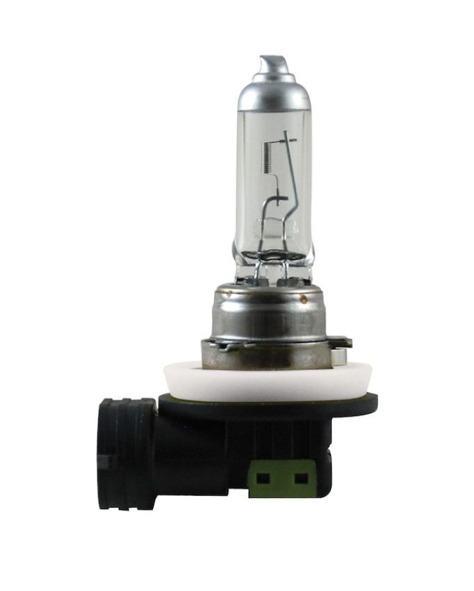 Hella H11 24V DP Bulb, headlight                      8GH