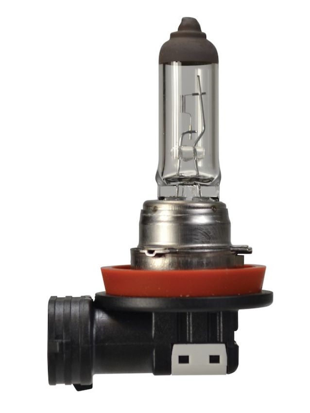 Hella H16SB BULB H16 12V 19W PGJ19-3 SB          8GH