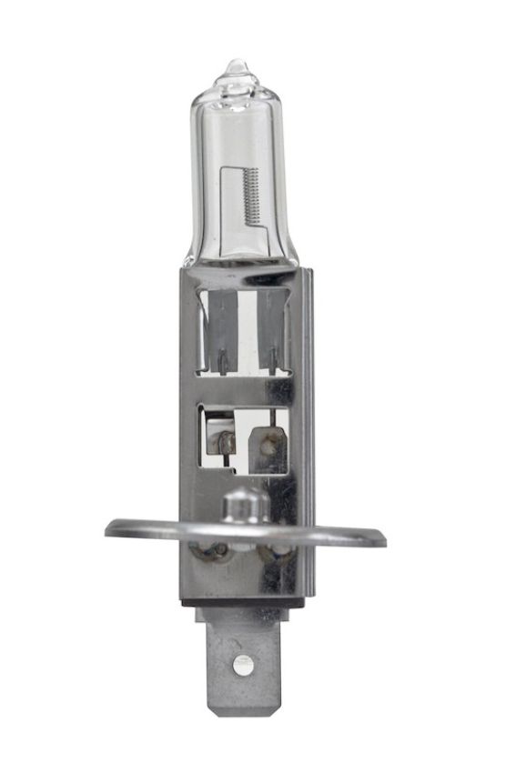 Hella H1LL HELLA H1LL Long Life Series Halogen Light Bulb