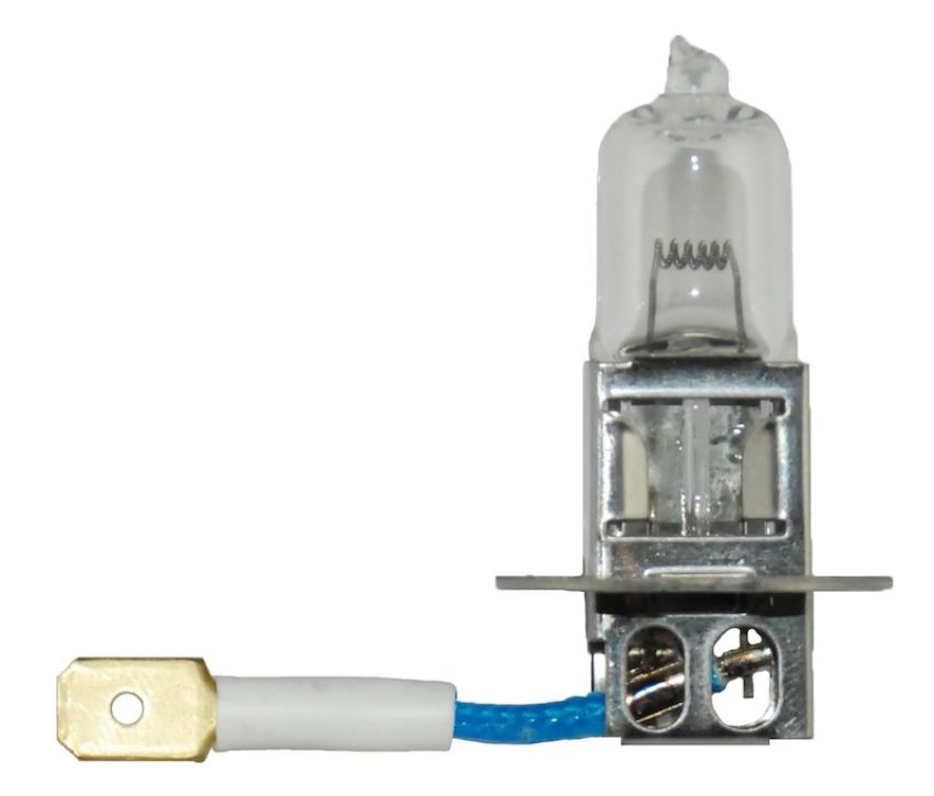 Hella H3 24V DP Bulb, fog light