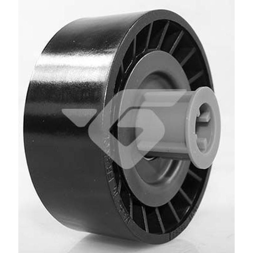 Hutchinson T0479 Poly V® idler