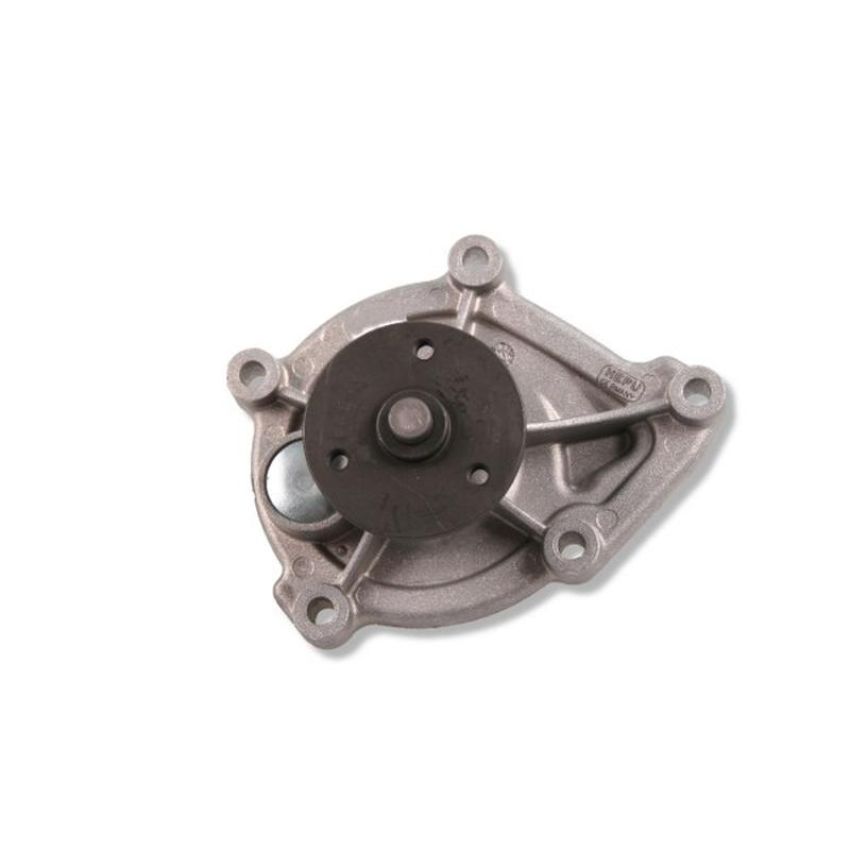 Hepu P495 Engine Water Pump