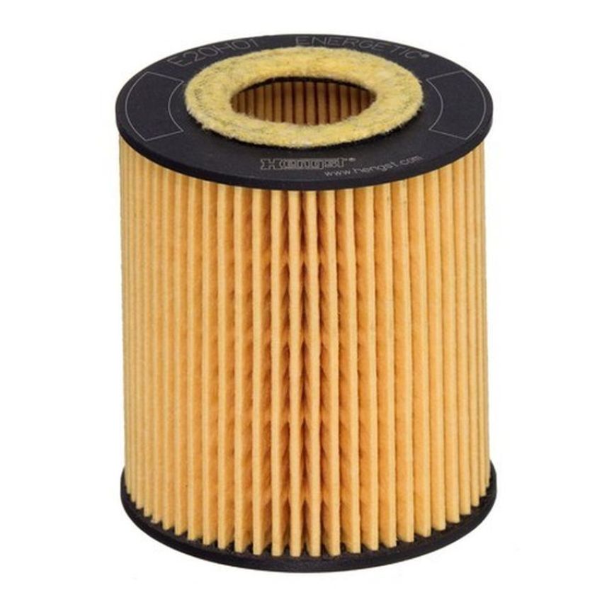 HENGST E20H01 D293 Engine Oil Filter
