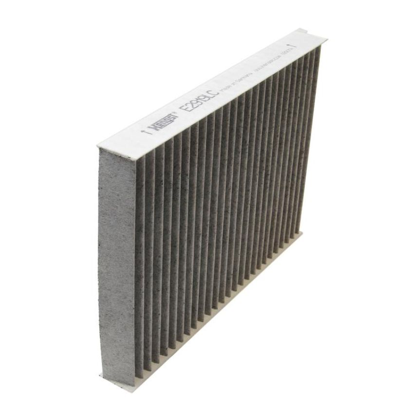 HENGST E2919LC-2 Cabin Air Filter