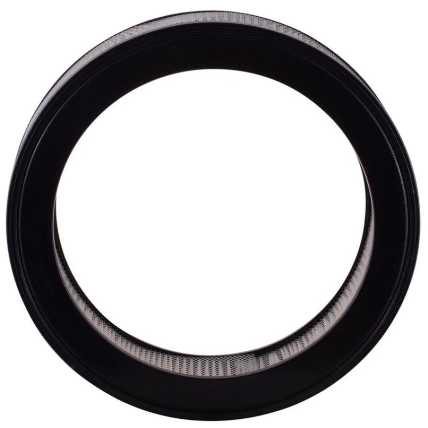 PARTS PLUS AF307 Engine Air Filter