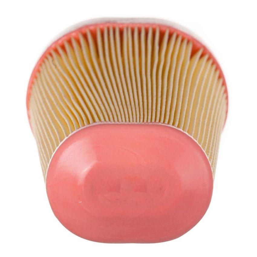 PARTS PLUS AF6059 Engine Air Filter