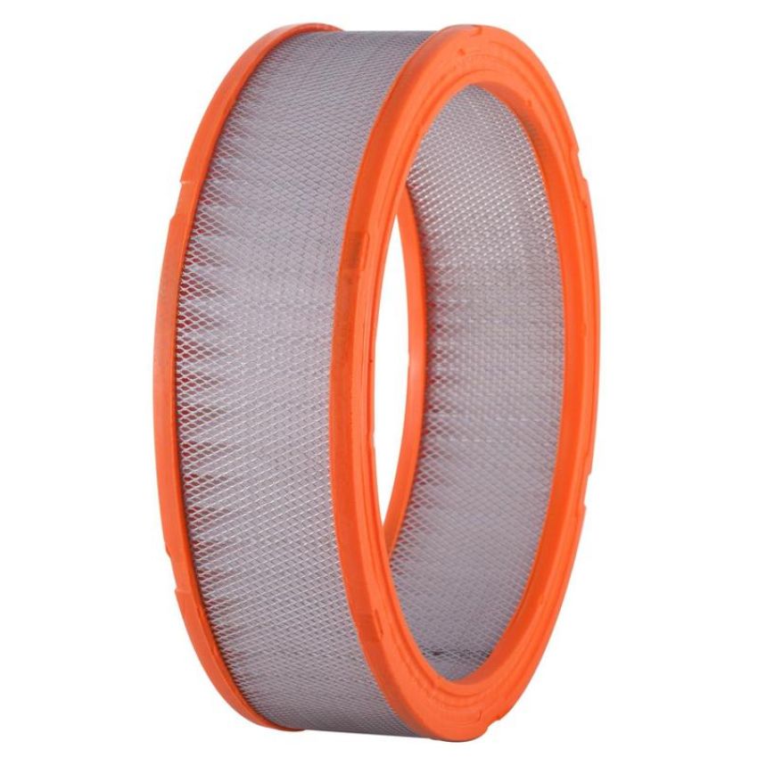 PARTS PLUS AF773 Engine Air Filter