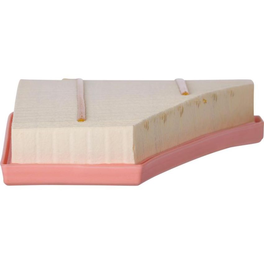 PARTS PLUS AF99784 Engine Air Filter