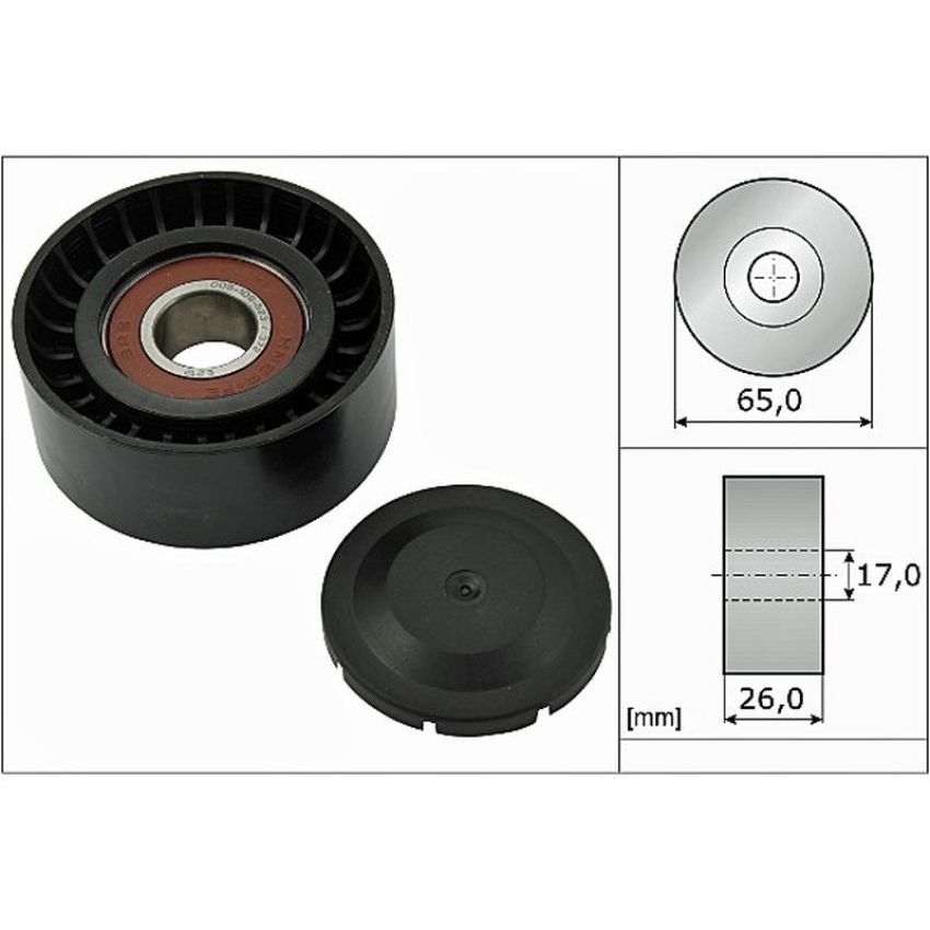 INA FP05571 INA BDC FEAD pulley