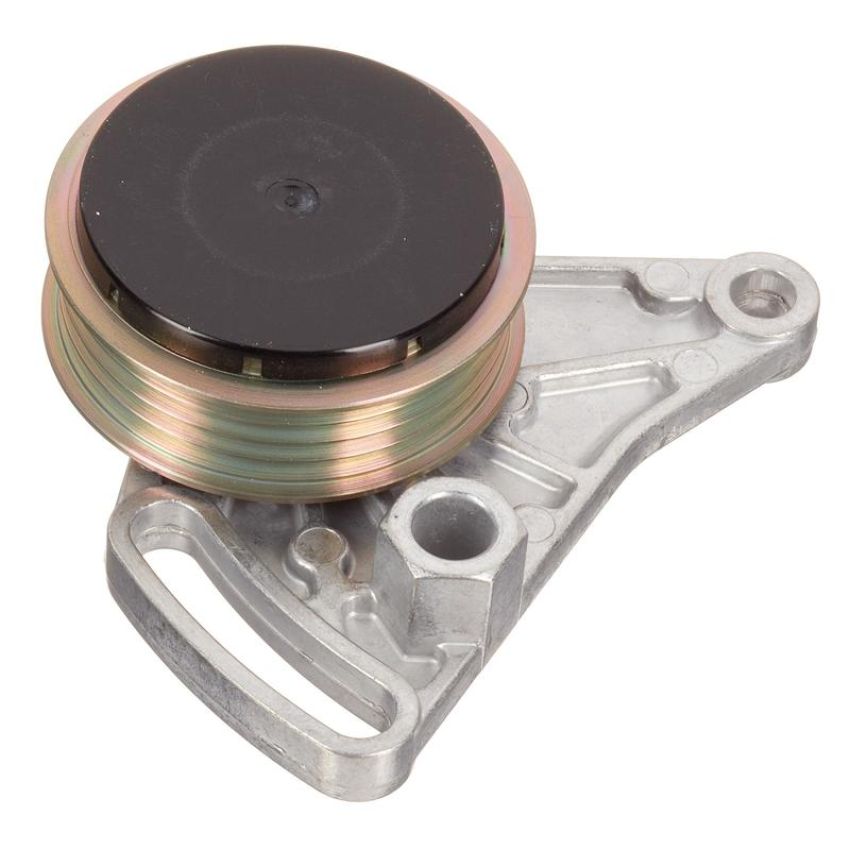 INA FT10309 INA BDC FEAD tensioner pulley