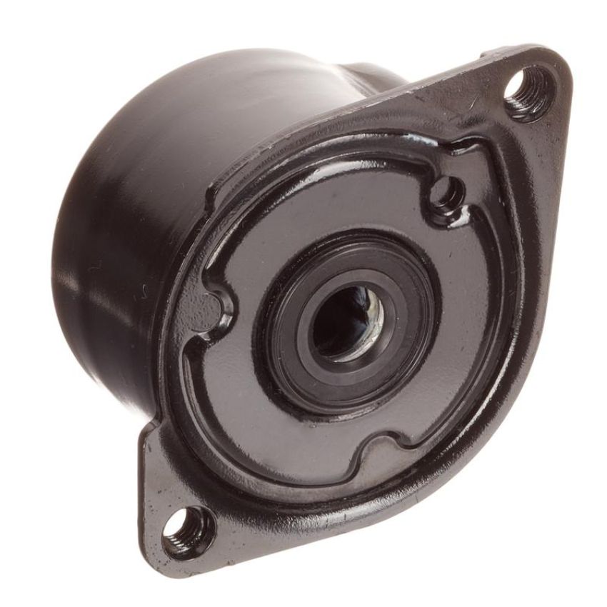 INA FT40170 INA BDC FEAD tensioner
