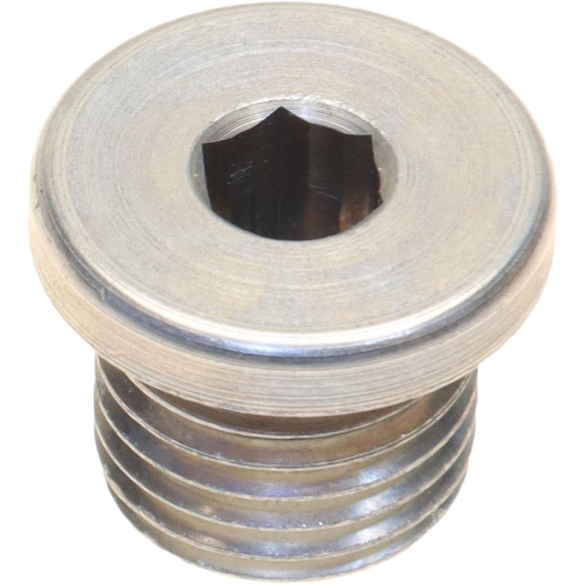 Genuine OEM 000000008789 Oil Drain Plug