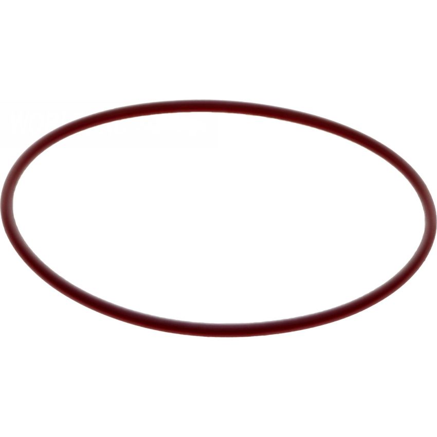 Genuine OEM AT Piston Seal Ring 005997864864