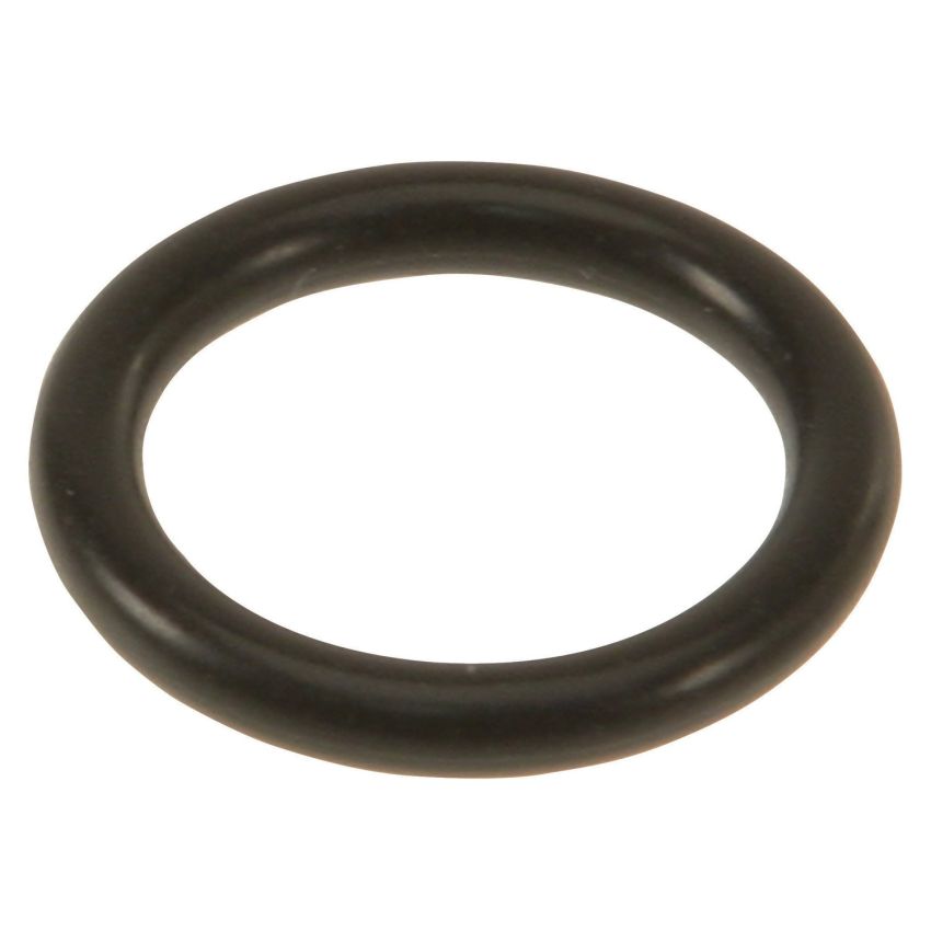 Genuine OEM AT Cooling Hose Seal 0199975745