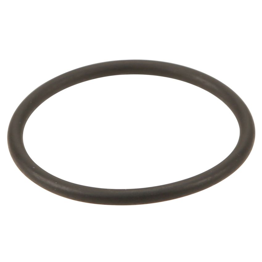 Genuine OEM Intercooler O-Ring 0249978645