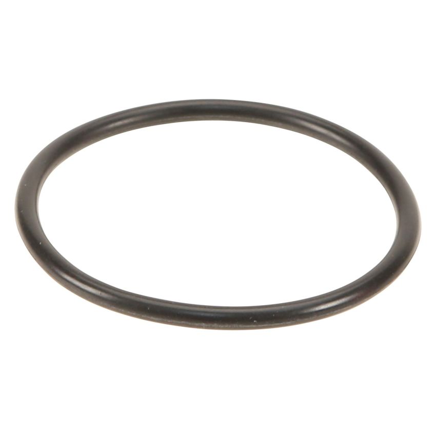 Genuine OEM Oil Filter O-Ring 0289971548