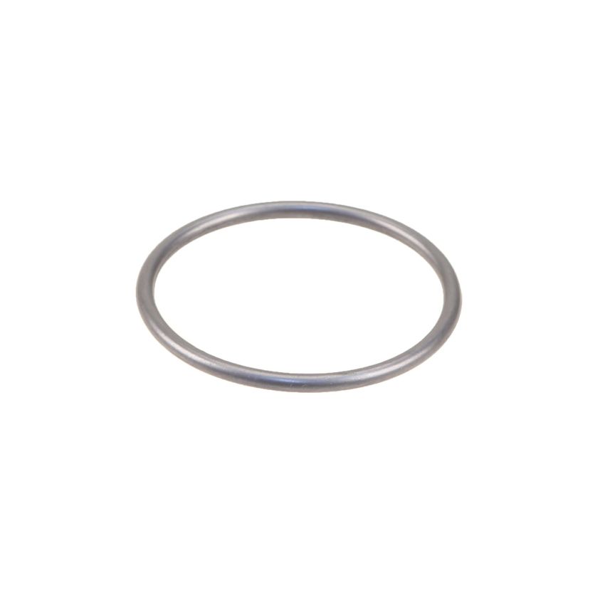 Genuine OEM Seal Ring 029997844864
