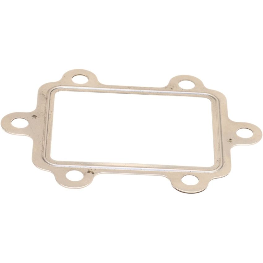 Genuine OEM EGR Cooler Gasket 038131547