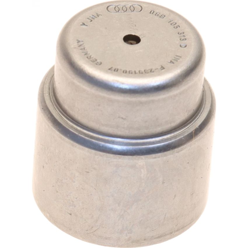 Genuine OEM 06B105313D Pilot Bearing