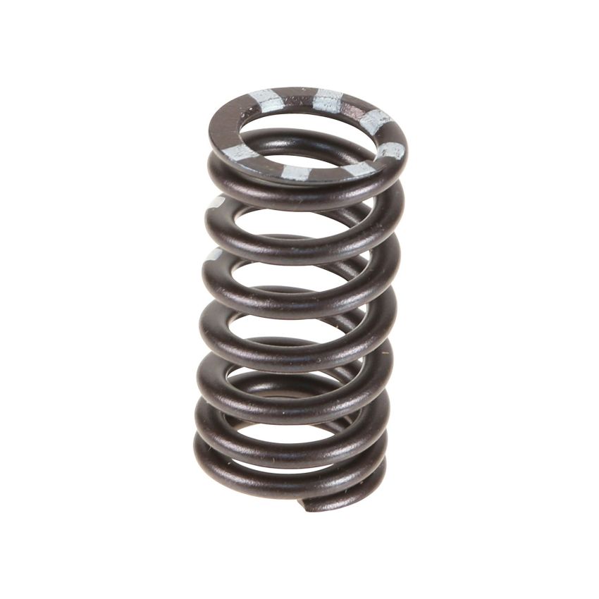 Genuine OEM Valve Spring 06E109623H