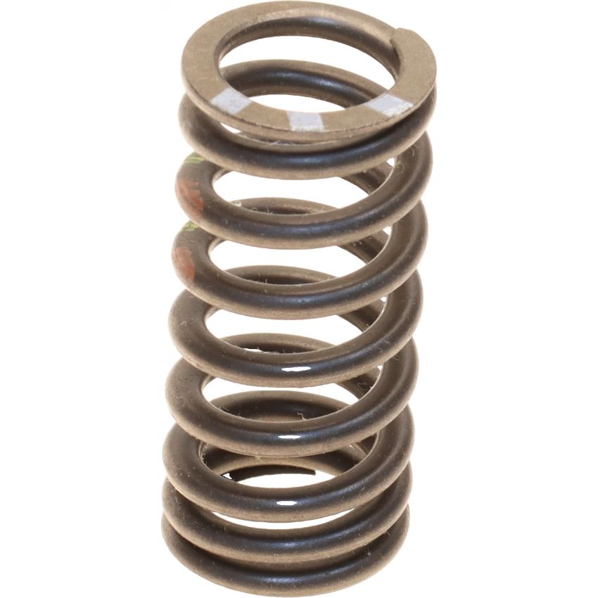 Genuine OEM Valve Spring 06F109623