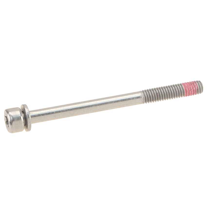 Genuine OEM Oil Pan Bolt 07129906571