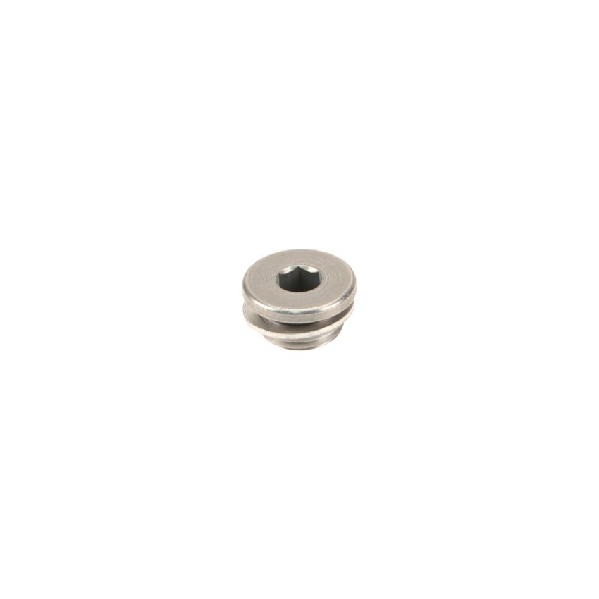 Genuine OEM 11317502048 Cylinder Head Plug