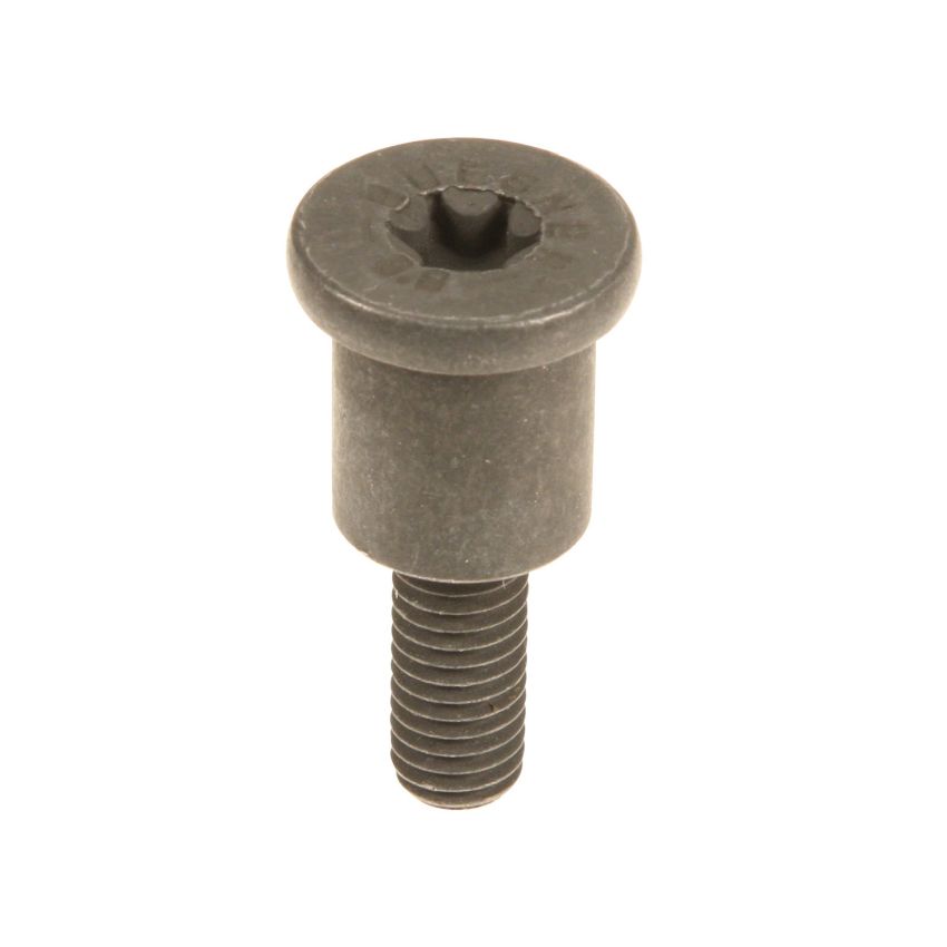 Genuine OEM Timing Chain Rail Bolt 11317533488