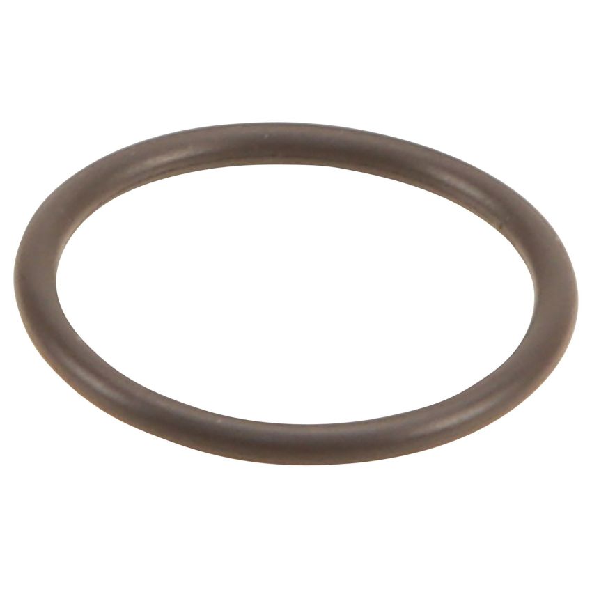 Genuine OEM Oil Pick-up Tube Gasket 11411401769