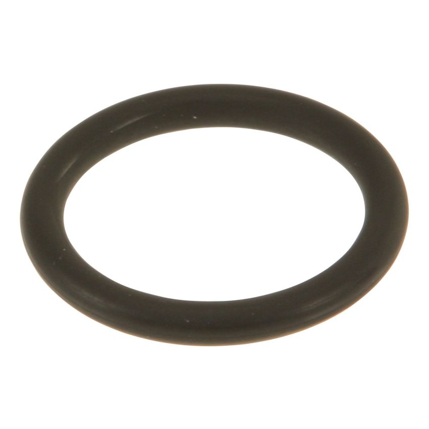 Genuine OEM Oil Pump O-Ring 11417507429