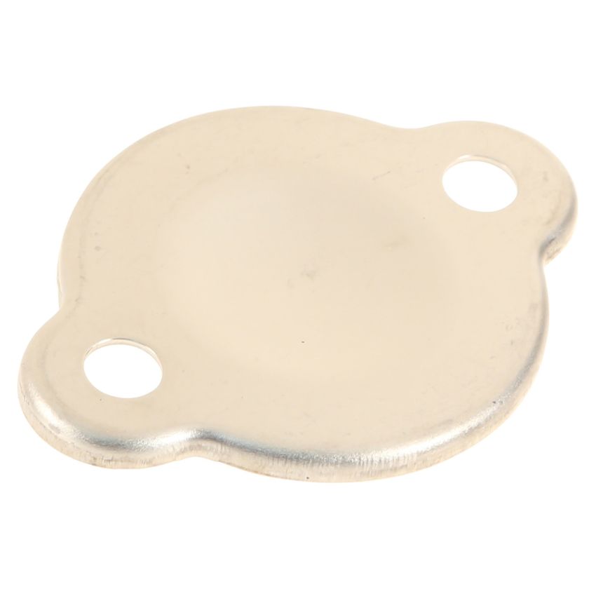 Genuine OEM Water Pump Block-Off Plate 1149220010