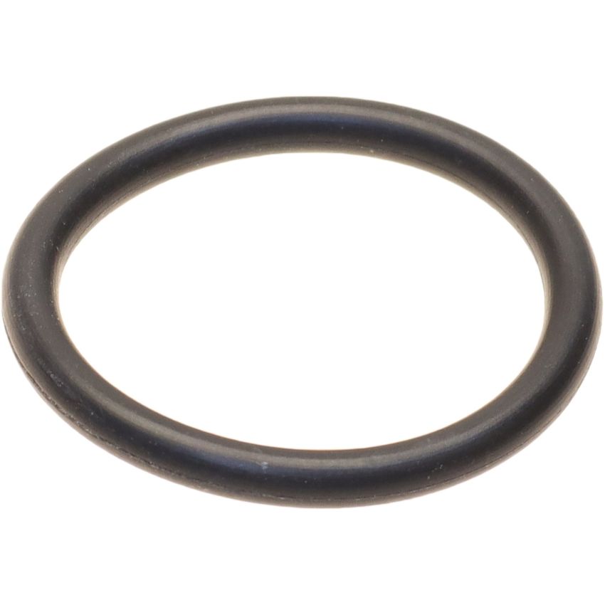 Genuine OEM Thermostat Gasket 11538658573