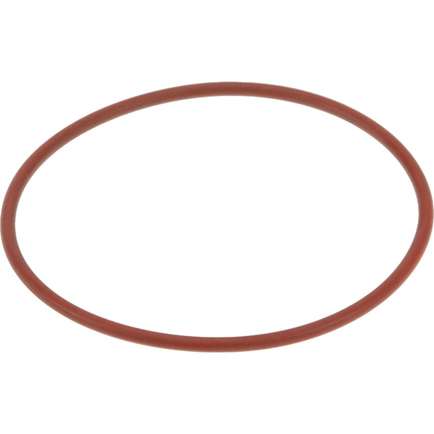 Genuine OEM Water Pump Hsng Gasket 12562004