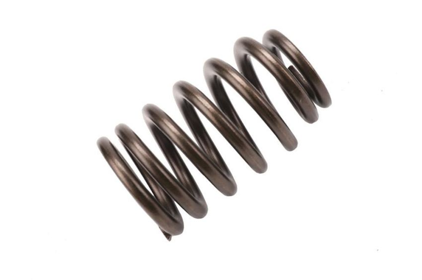 Genuine OEM Valve Spring 12686721