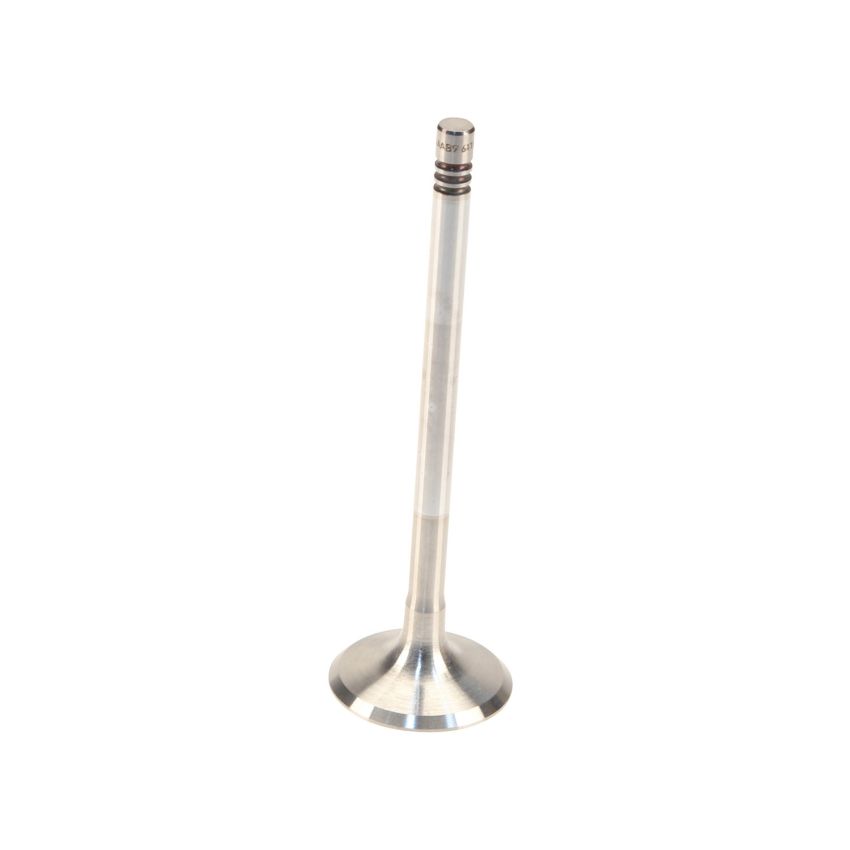 Genuine OEM Exhaust Valve 12791961