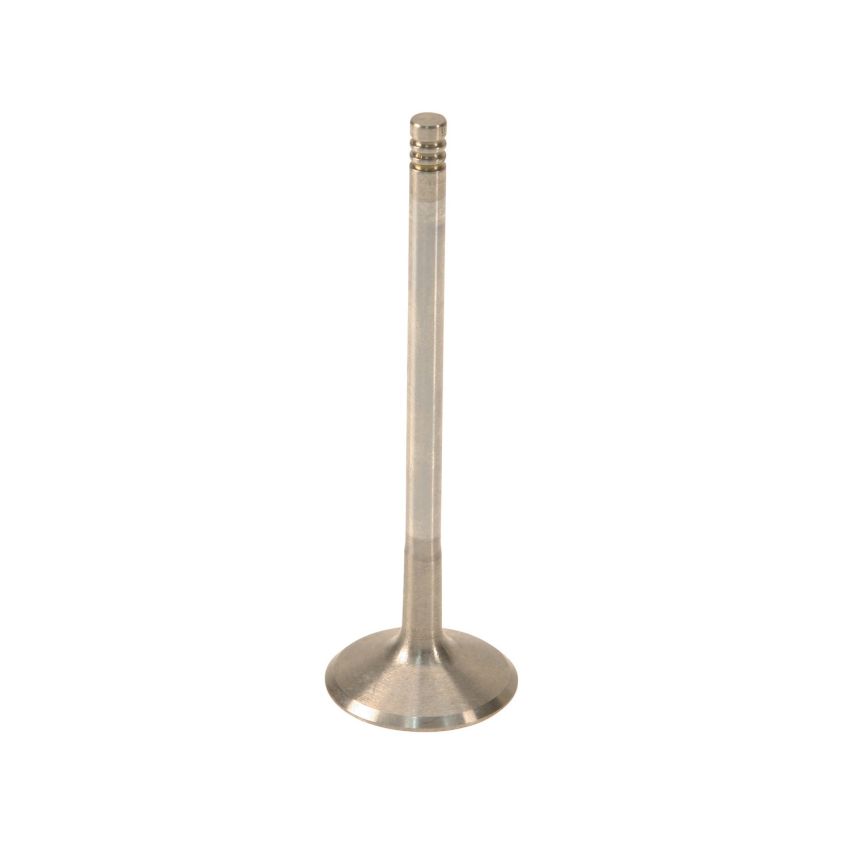 Genuine OEM 1291185Z00 Intake Valve