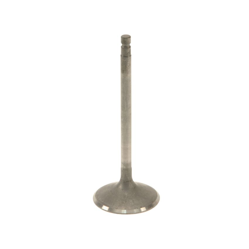 Genuine OEM Intake Valve 132014W001