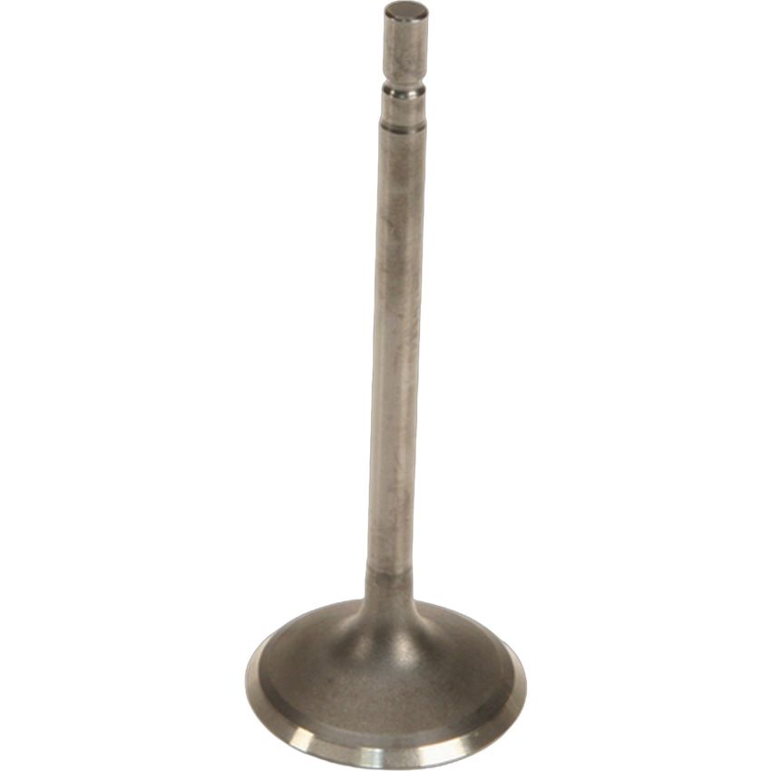Genuine OEM Intake Valve 132019FP0A