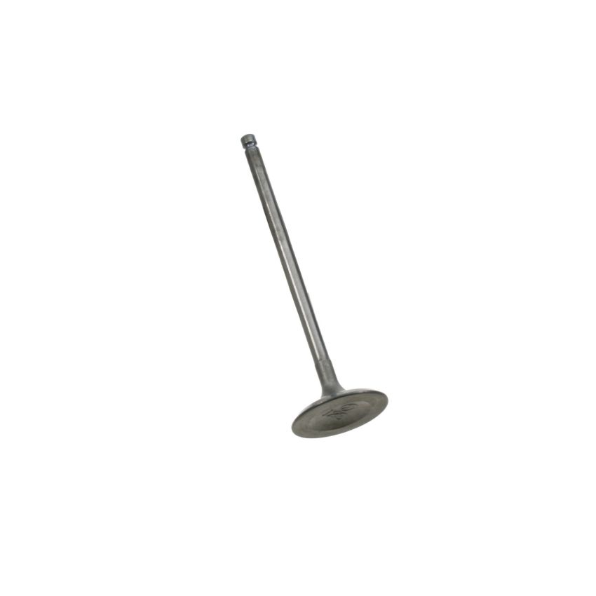 Genuine OEM Intake Valve 13201AA362