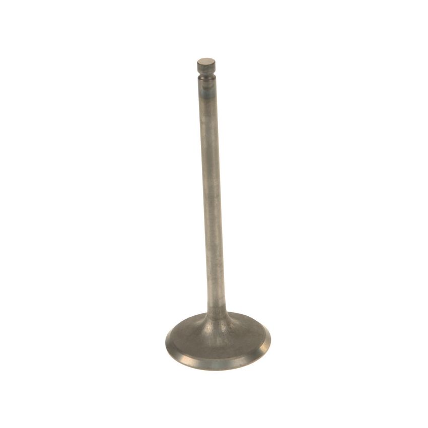 Genuine OEM Intake Valve 13201AA371