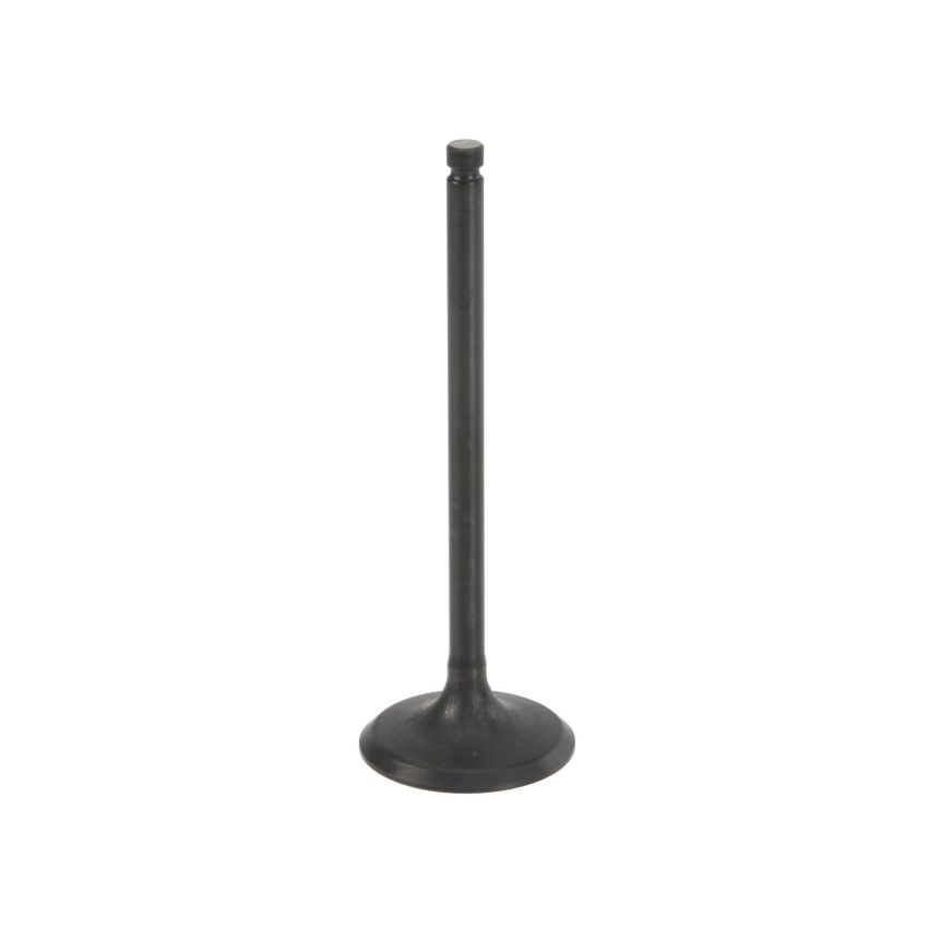 Genuine OEM Intake Valve 13201AA391