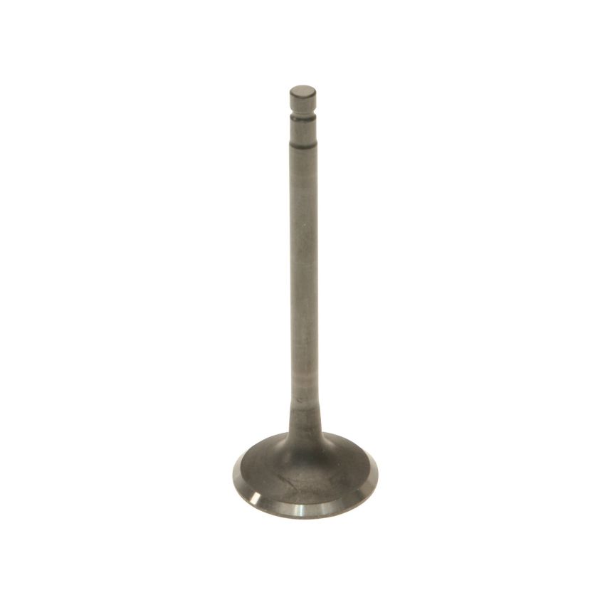 Genuine OEM Exhaust Valve 132028J10A