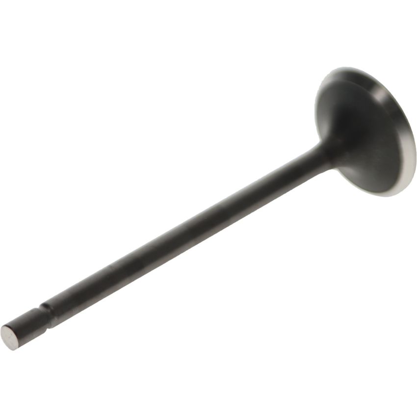 Genuine OEM Exhaust Valve 13202AA670