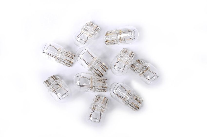 Genuine OEM Light Bulb 13503361
