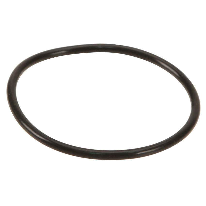 Genuine OEM Fuel Pump Seal 13517571363