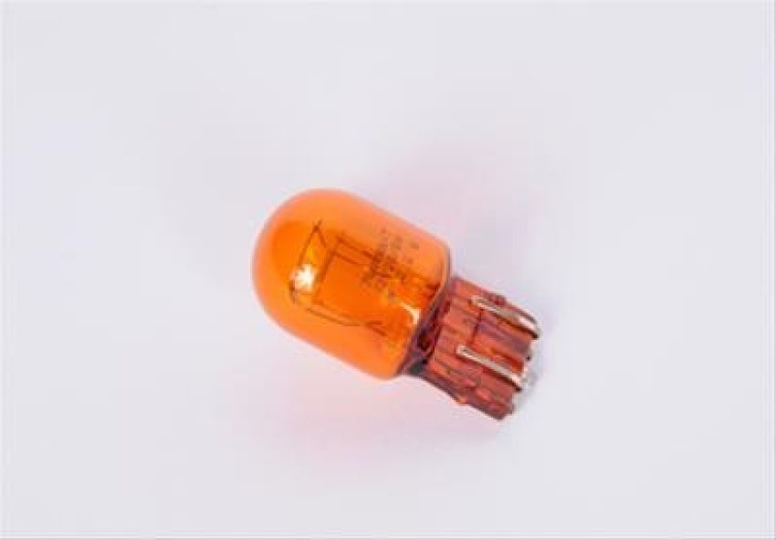 Genuine OEM Light Bulb 13579188