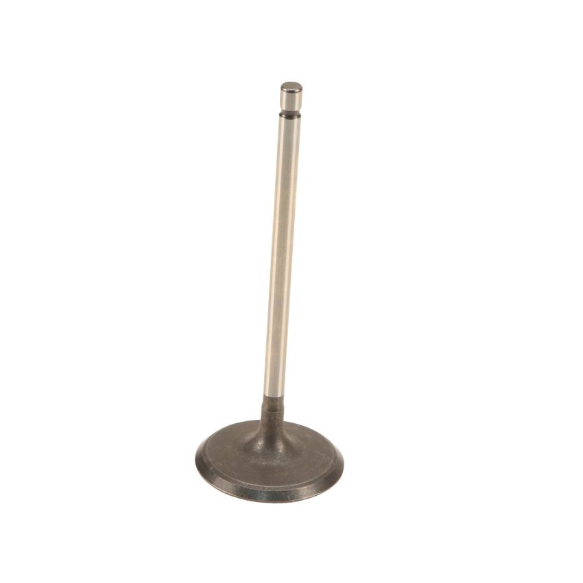 Genuine OEM Intake Valve 137110P010